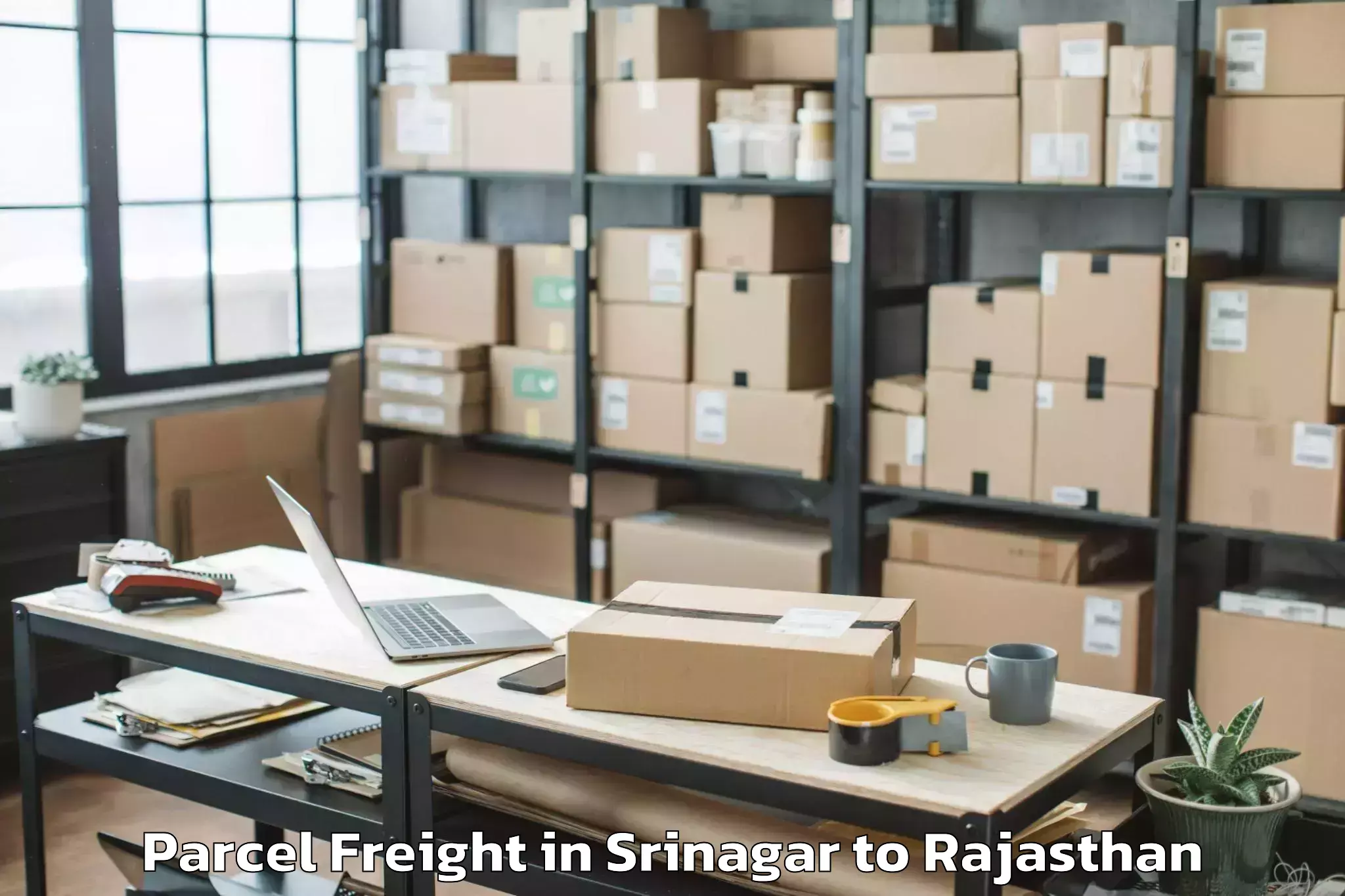 Top Srinagar to Deogarh Rajsamand Parcel Freight Available